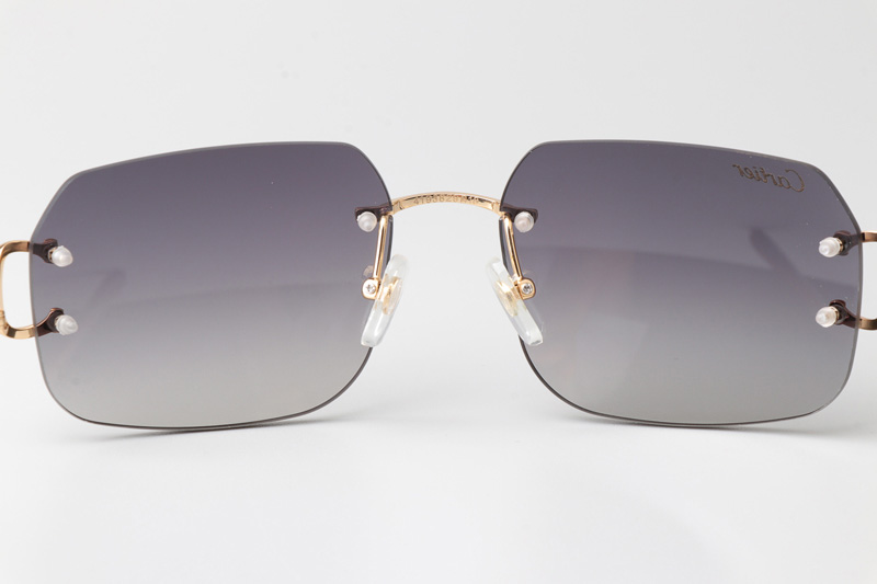 CT 4193833 Sunglasses Gold Gradient Gray