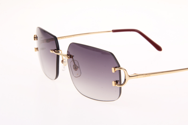 CT 4193833 Sunglasses In Gold Gradient Grey