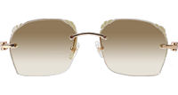 CT 8300818 Engrave Lens Black Buffalo Sunglasses In Gold Brown