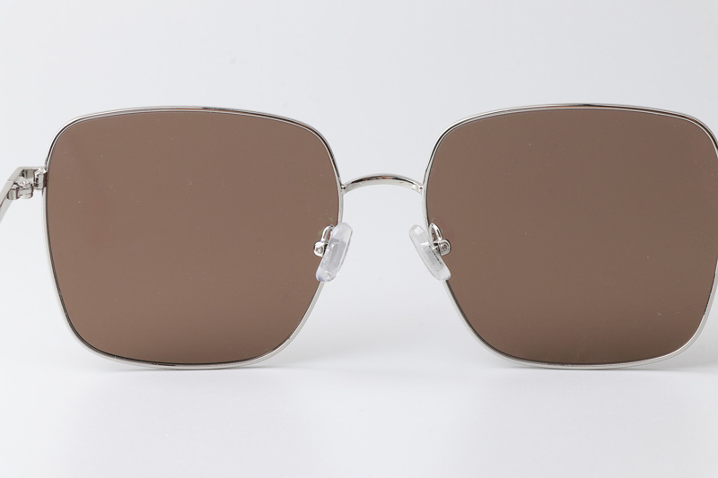 Diane Sunglasses Silver Brown