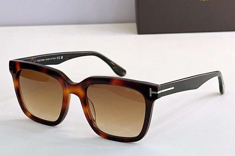 FT0646 Sunglasses Tortoise Gradient Brown