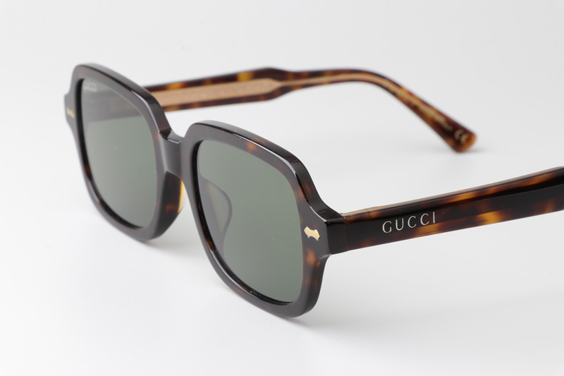 GG0072S Sunglasses Tortoise Green