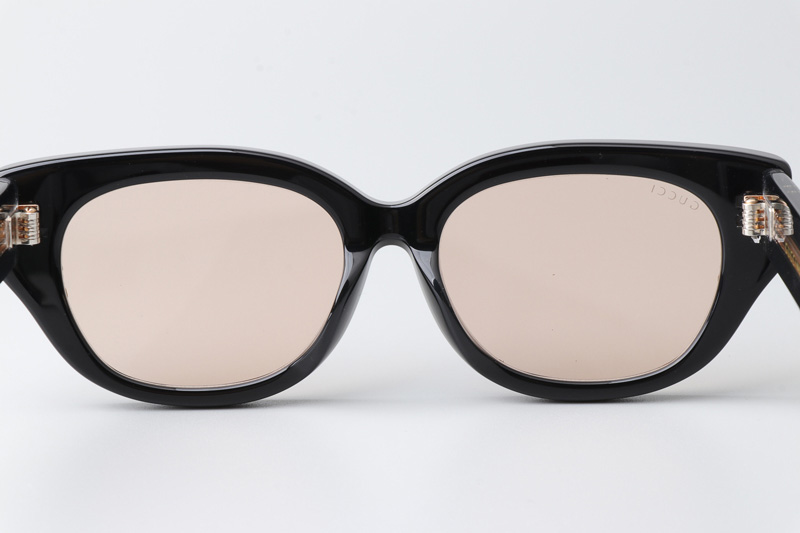 GG1532SA Sunglasses Black Light Brown