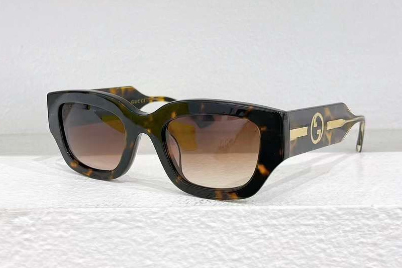 GG1558SK Sunglasses Tortoise Gradient Brown