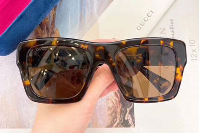 GG1772S Sunglasses In Tortoise