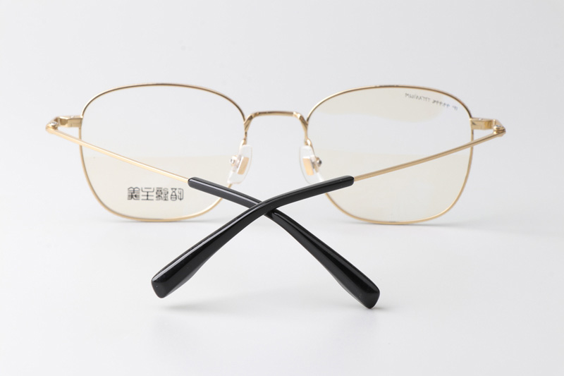 GJ2013 Eyeglasses Black Gold