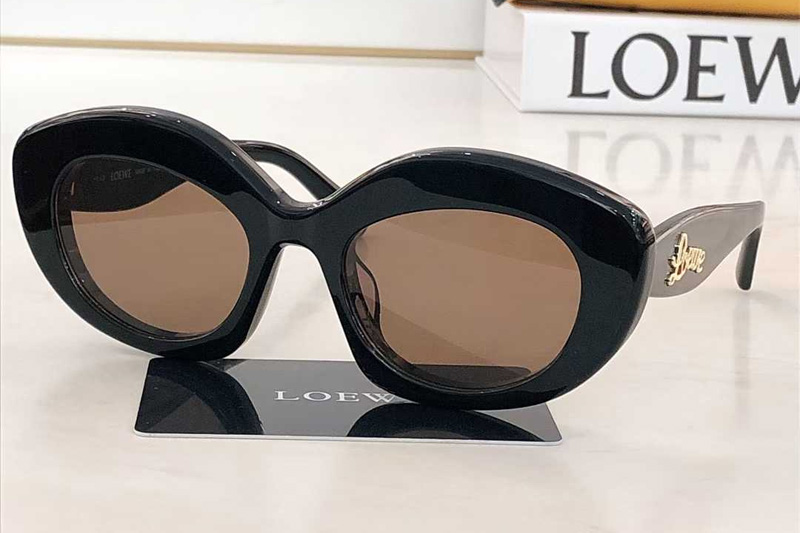 LW40153S Sunglasses Black Brown