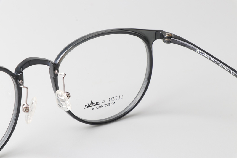 M1627 Eyeglasses Transparent Gray