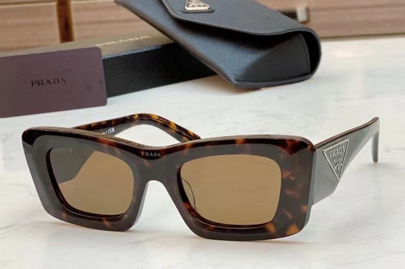 OPR13ZS Sunglasses In Tortoise