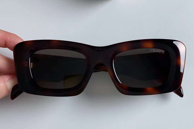 OPR13ZS Sunglasses In Tortoise