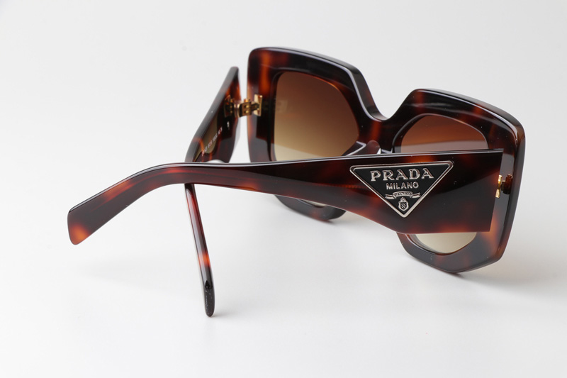 OPR14ZS Sunglasses Tortoise Gradient Brown