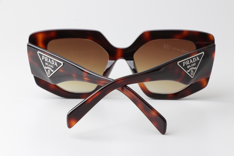 OPR14ZS Sunglasses Tortoise Gradient Brown