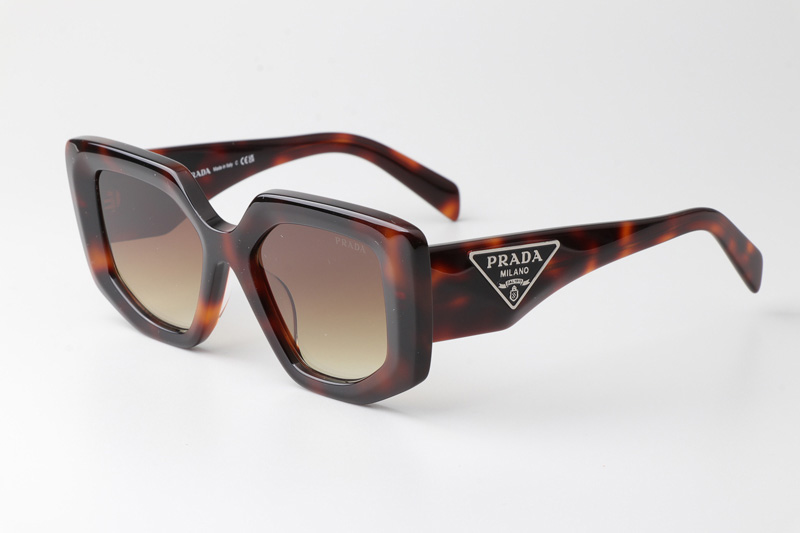 OPR14ZS Sunglasses Tortoise Gradient Brown