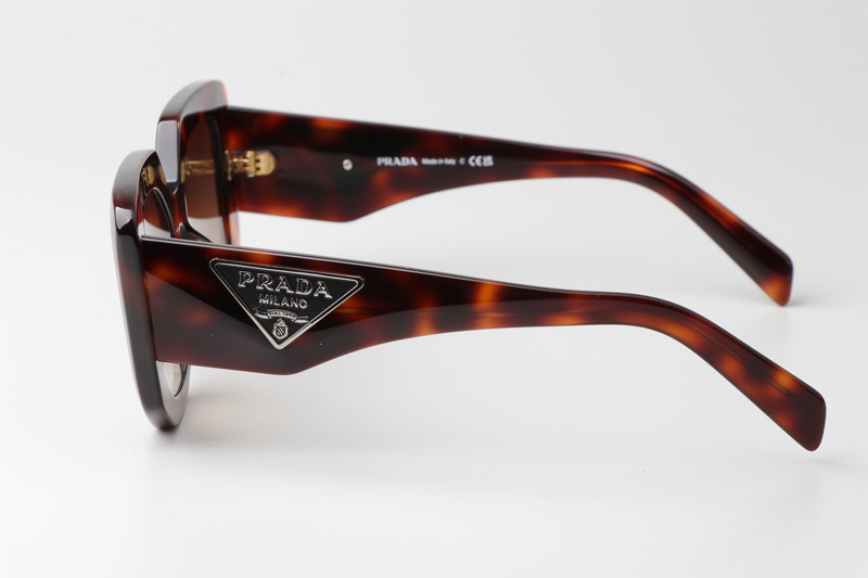 OPR14ZS Sunglasses Tortoise Gradient Brown