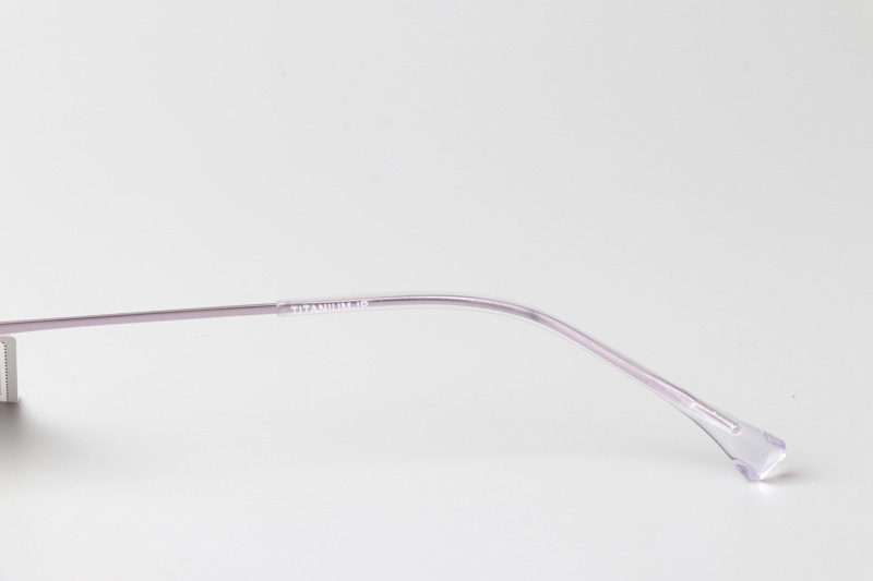 RS20046 Eyeglasses Purple