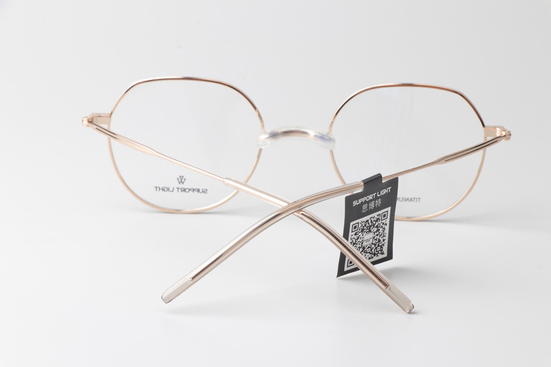 SL1025 Eyeglasses Black Gold