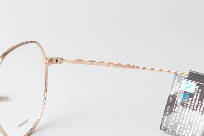 SL1025 Eyeglasses Black Gold