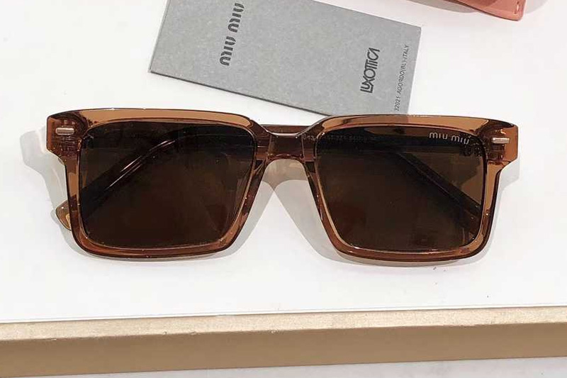 SMU13ZS Sunglasses Brown Brown