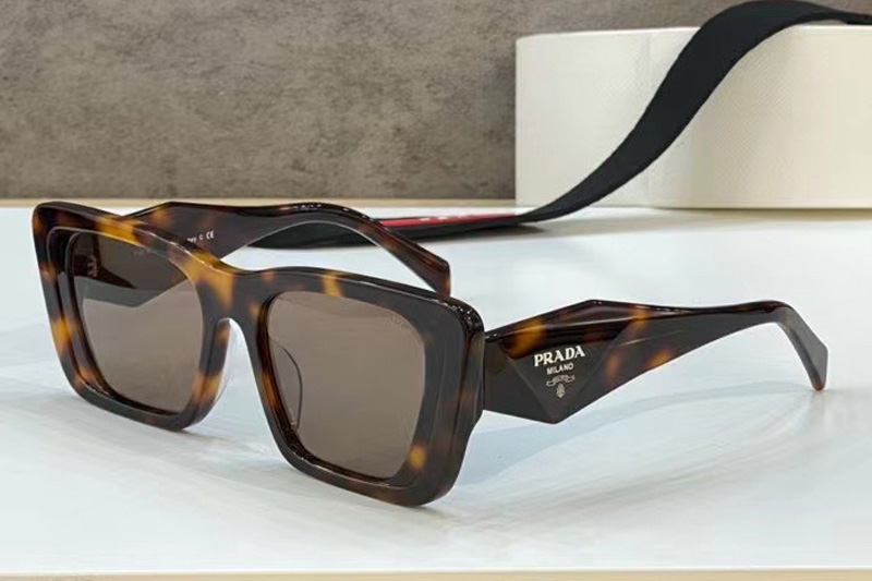 SPR08Y-F Sunglasses In Tortoise Brown