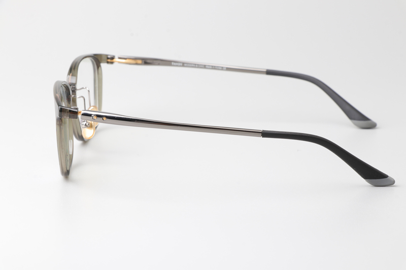 TA1397 Eyeglasses C2 Gray