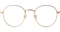 TC1006 Eyeglasses Gold