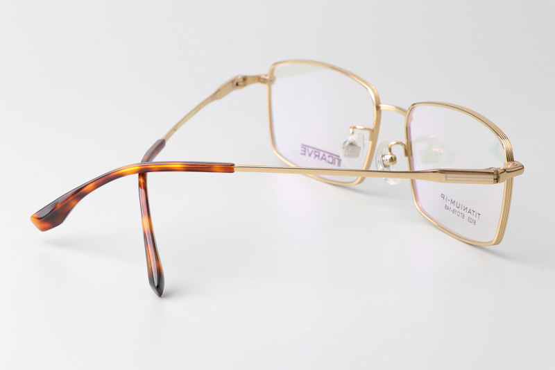 TC8123 Eyeglasses Gold