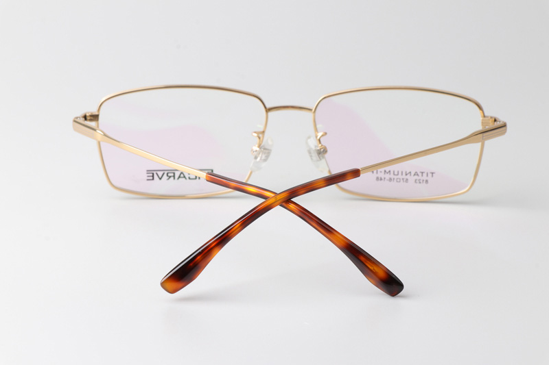 TC8123 Eyeglasses Gold