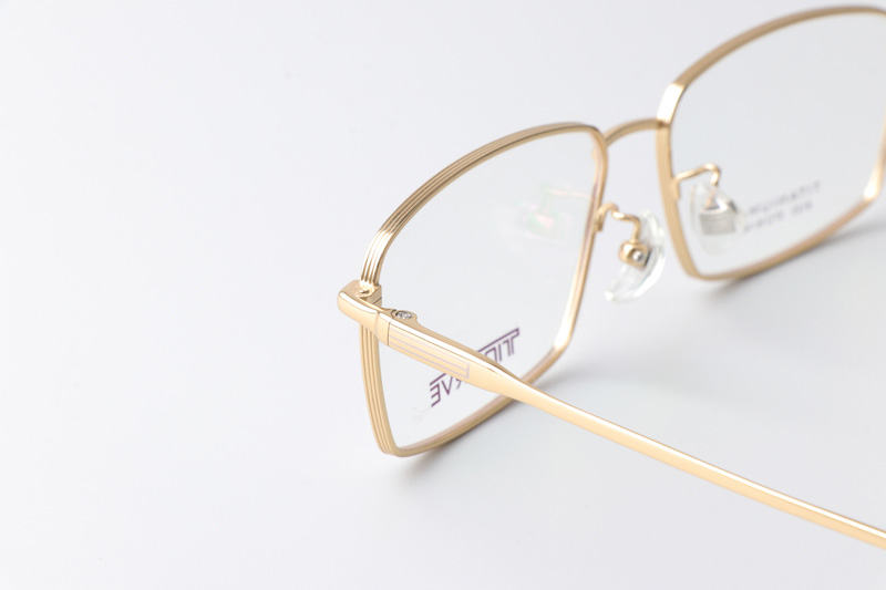 TC8123 Eyeglasses Gold