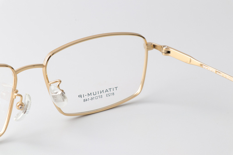 TC8123 Eyeglasses Gold