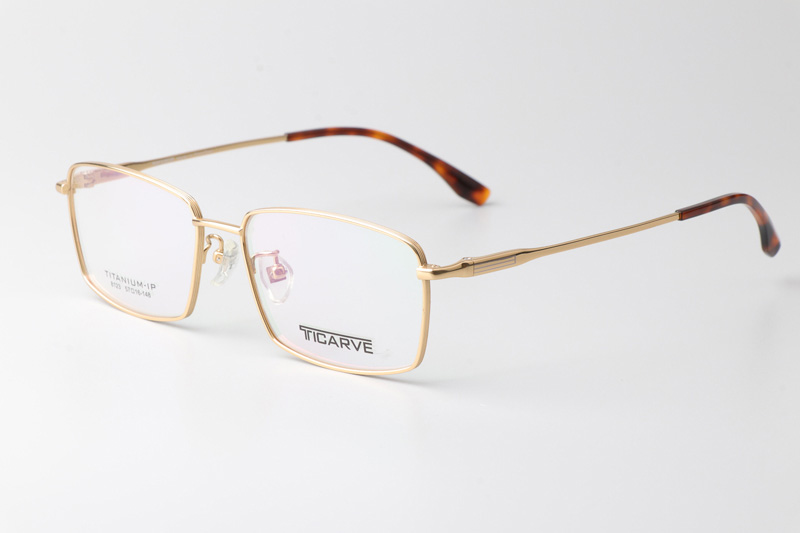 TC8123 Eyeglasses Gold