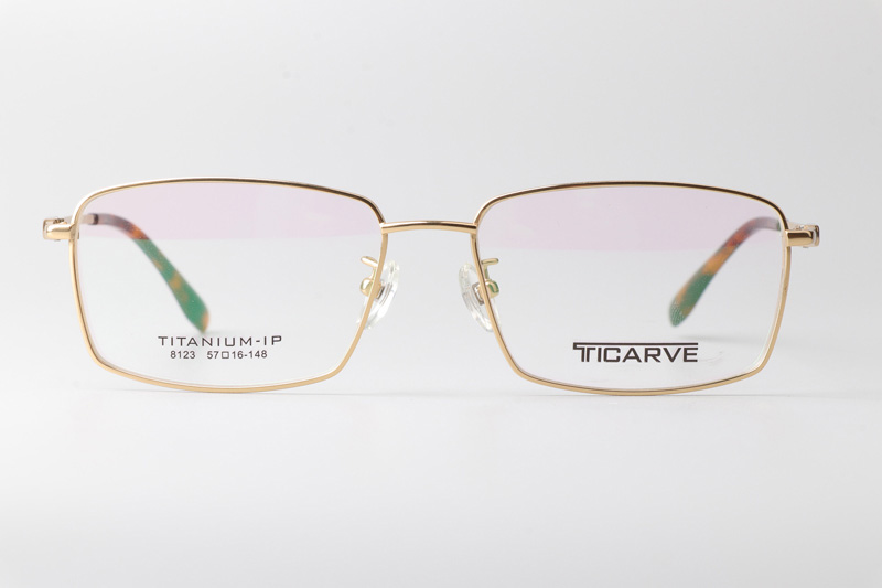 TC8123 Eyeglasses Gold