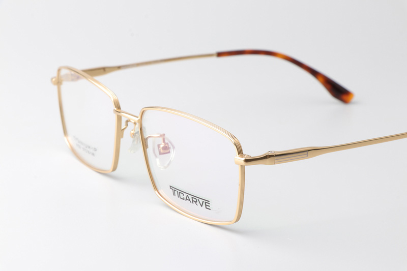 TC8123 Eyeglasses Gold