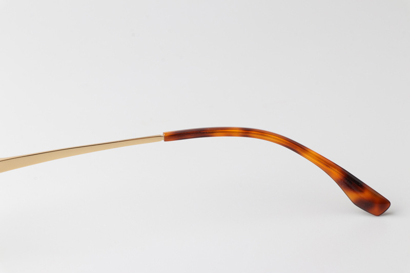 TC8130 Eyeglasses Gold