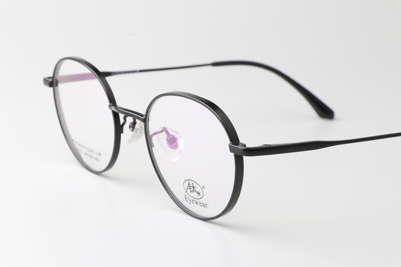 TC8212 Eyeglasses Black