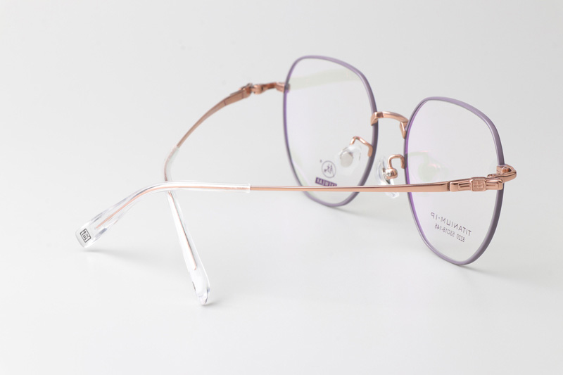 TC8220 Eyeglasses Purple Gold