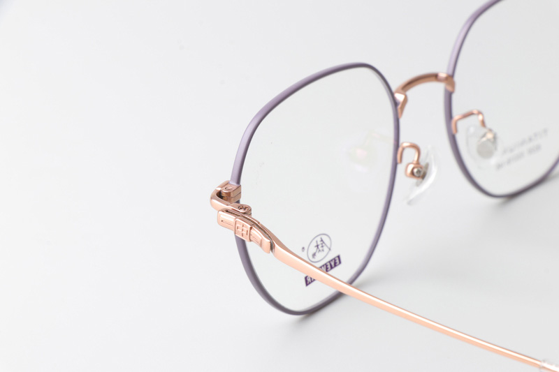 TC8220 Eyeglasses Purple Gold