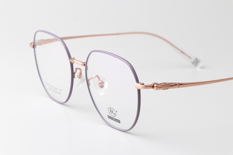 TC8220 Eyeglasses Purple Gold