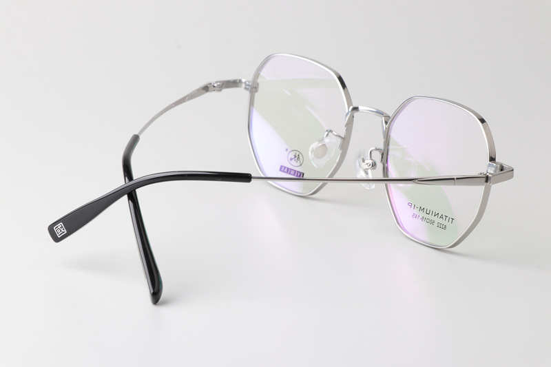 TC8222 Eyeglasses Silver