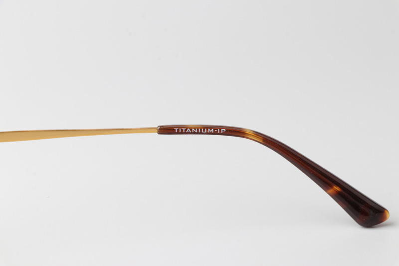 TCS3061 Eyeglasses Tortoise Gold