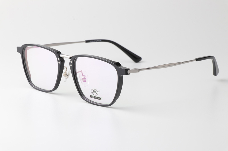 TCS3062 Eyeglasses Black Silver