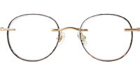 TCS3080 Eyeglasses Tortoise Gold