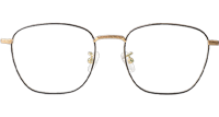 TCS3084 Eyeglasses Black Gold