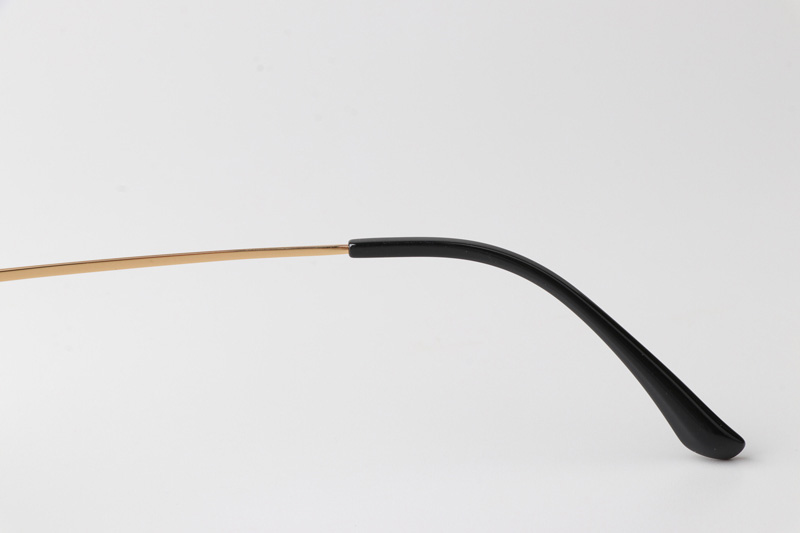 TCS3091 Eyeglasses Black Gold