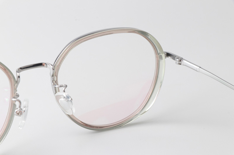 TCS3094 Eyeglasses Transparent Brown Silver