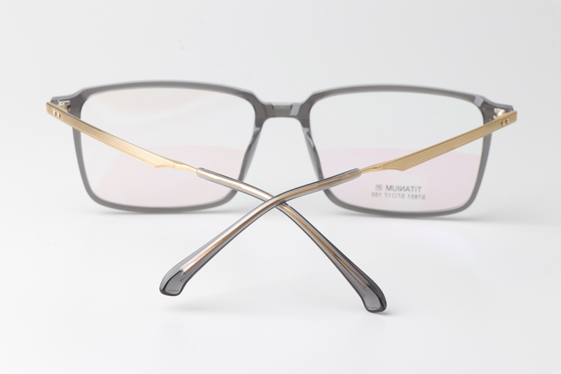 TCS7851 Eyeglasses Clear Gray Gold