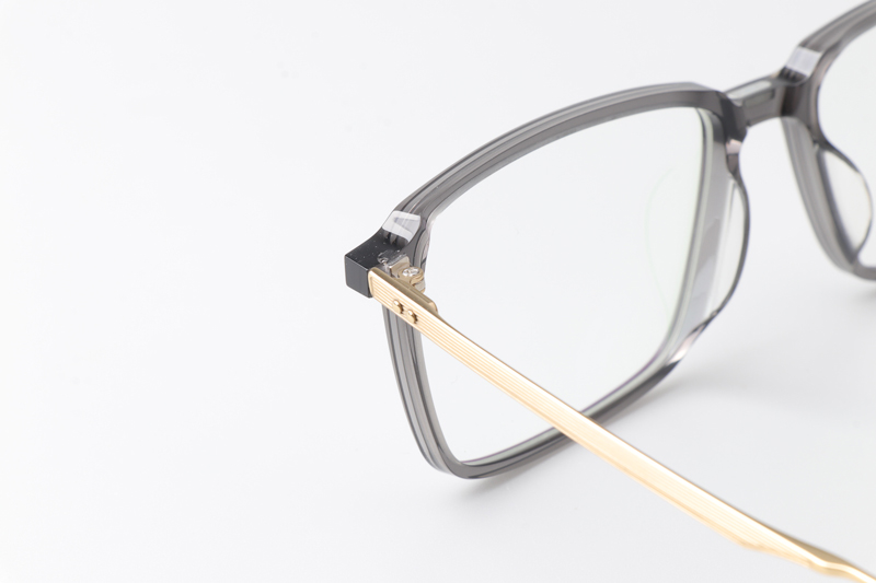 TCS7851 Eyeglasses Clear Gray Gold
