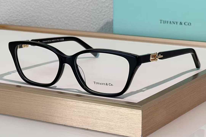 TF2229 Eyeglasses Black Gold