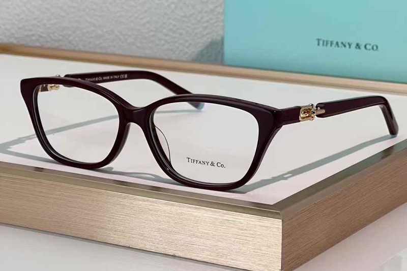 TF2229 Eyeglasses Wine