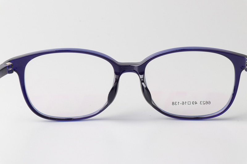 TR6623 Eyeglasses Blue