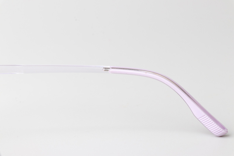 TR6624 Eyeglasses Transparent Purple